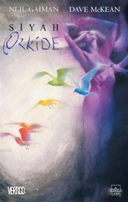 Siyah Orkide
