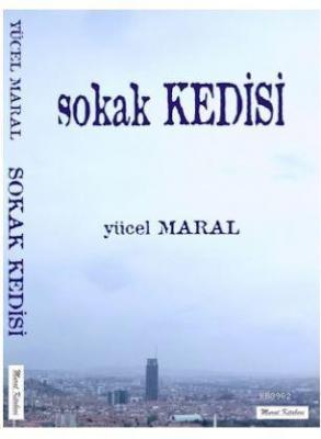 Sokak Kedisi