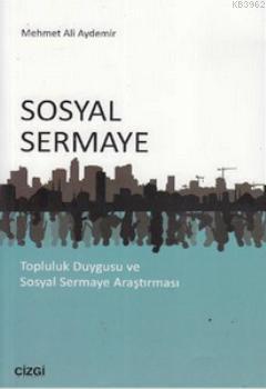 Sosyal Sermaye Mehmet Ali Aydemir