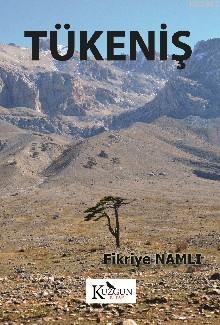 Tükeniş
