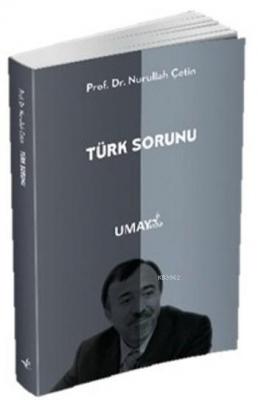 Türk Sorunu