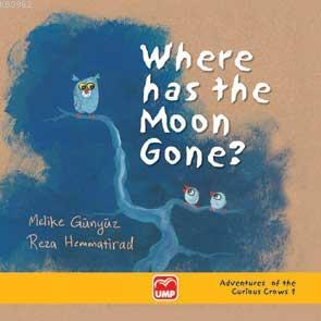 Where Has The Moon Gone?