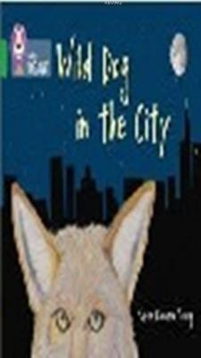 Wild Dog In The City