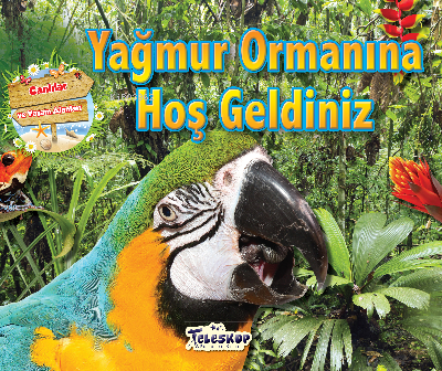Yağmur Ormanına Hoşgeldiniz