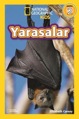 Yarasalar - Seviye 2 Elizabeth Carney