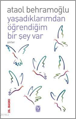 Yaşadıklarımdan Öğrendiğim Bir Şey Var