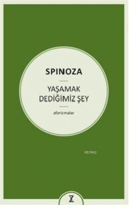 Yaşamak Dediğimiz Şey