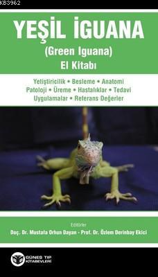 Yeşil İguana