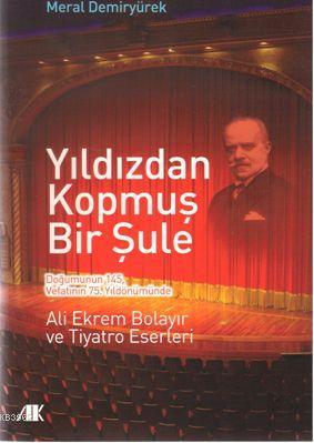 Yıldızdan Kopmuş Bir Şule Meral Demiryürek