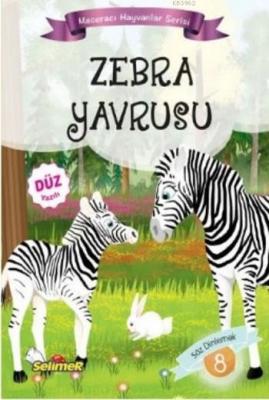 Zebra Yavrusu